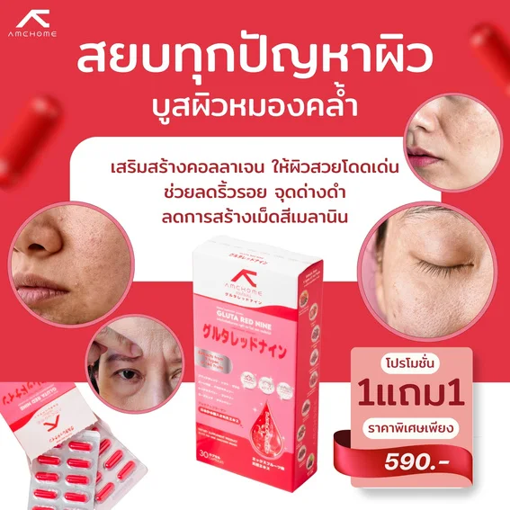 AMCHOME 6